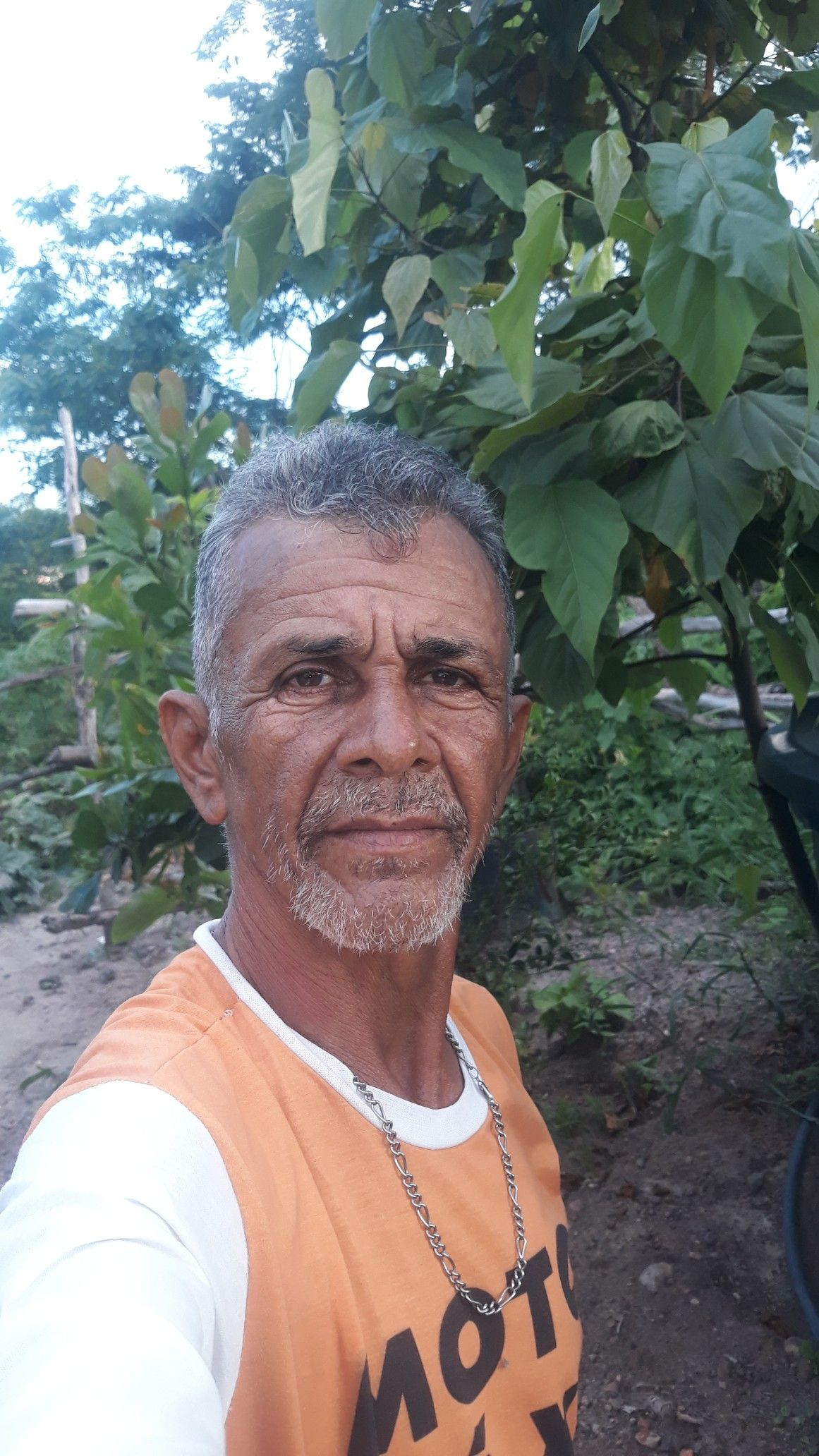 files/foto_resena_3.png